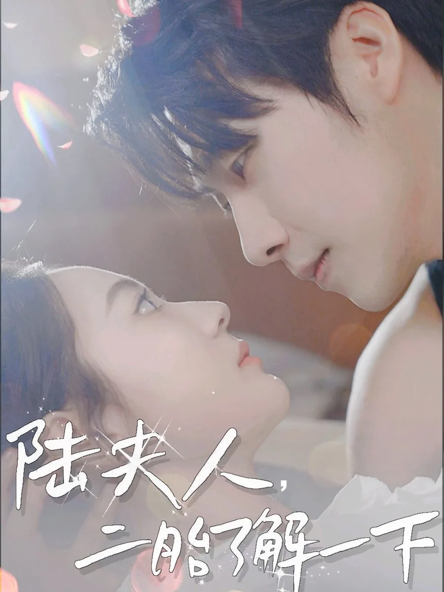 陆夫人,二胎了解一下