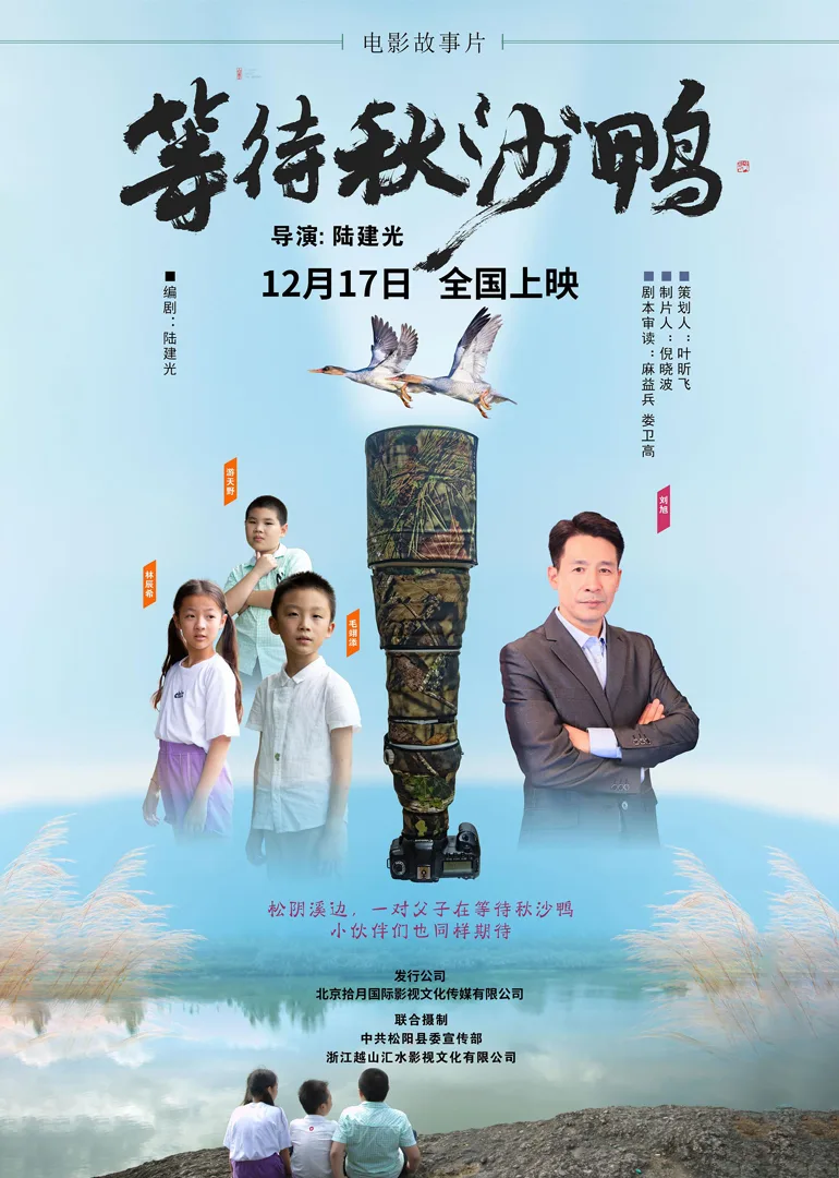 等待秋沙鸭