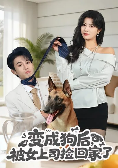 变成狗后,被女上司捡回家了