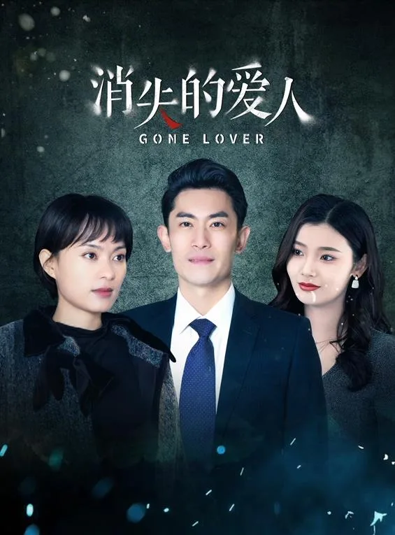 消失的爱人2025