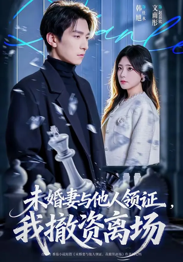 未婚妻与他人领证,我撤资离场