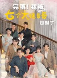 完蛋!我被七个大佬哥哥包围了(七个大佬哥哥独宠落魄小妹)